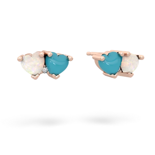 opal-turquoise  earrings