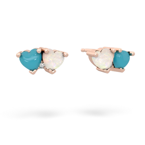 turquoise-opal  earrings