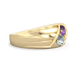 Amethyst Men's Streamline 14K Yellow Gold ring R0460