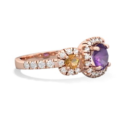 Amethyst Regal Halo 14K Rose Gold ring R5350