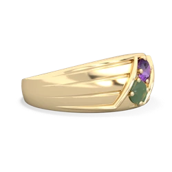 Amethyst Men's Streamline 14K Yellow Gold ring R0460