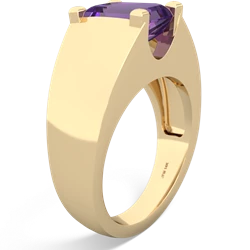 Amethyst Men's 14K Yellow Gold ring R1836