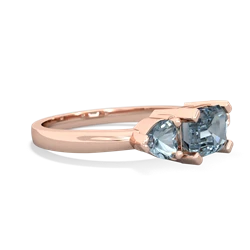 Onyx Three Stone 14K Rose Gold ring R5235