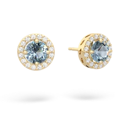 Aquamarine Halo 14K Yellow Gold earrings E5320