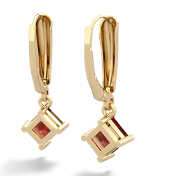 Garnet 6Mm Princess Lever Back 14K Yellow Gold earrings E2789