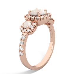 Sapphire Regal Halo 14K Rose Gold ring R5350