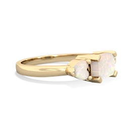 Onyx Three Stone 14K Yellow Gold ring R5235