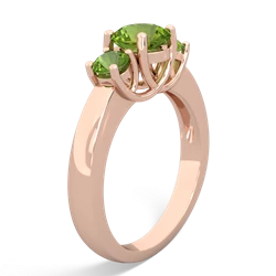 Lab Ruby Three Stone Round Trellis 14K Rose Gold ring R4018