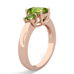 Ruby Three Stone Emerald-Cut Trellis 14K Rose Gold ring R4021