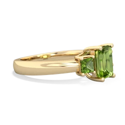 Garnet Three Stone Emerald-Cut Trellis 14K Yellow Gold ring R4021