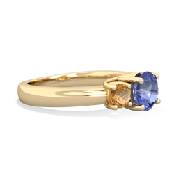 Tanzanite Three Stone Round Trellis 14K Yellow Gold ring R4018