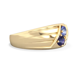 Tanzanite Men's Streamline 14K Yellow Gold ring R0460