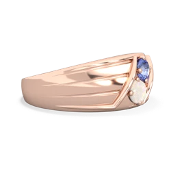 Tanzanite Men's Streamline 14K Rose Gold ring R0460