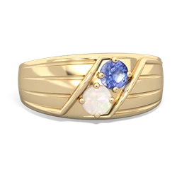 Tanzanite Men's Streamline 14K Yellow Gold ring R0460